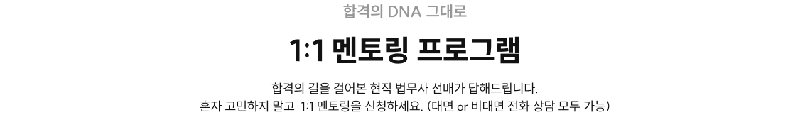 1:1 멘토링 프로그램