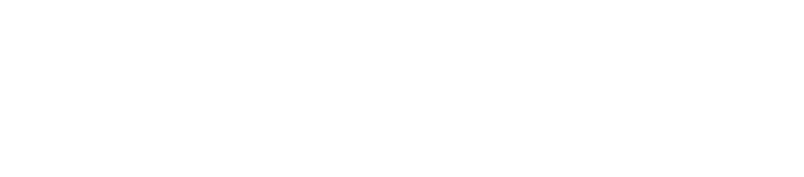 비교불가