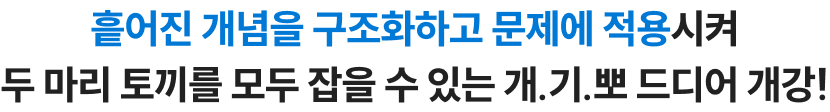흩어진 개념을 구조화하고 문제에 적용시켜 두 마리 토끼를 모두 잡을 수 있는 개.기.뽀 드디어 개강!