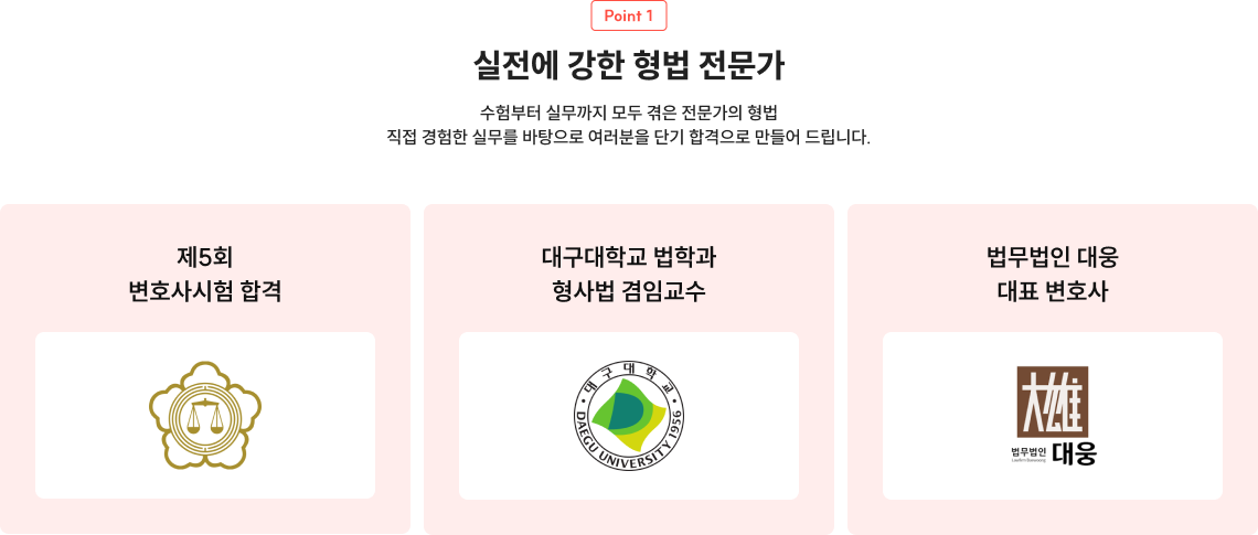 실전에 강한 형법 전문가