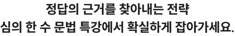 정답의 근거를 찾아내는 전략 심의 한수 문법 특강에서 확실하게 잡아가세요.