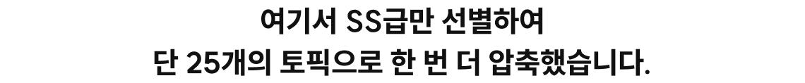 여기서 SS급만 선별하여 단 25개의 토픽으로 한 번 더 압축했습니다.