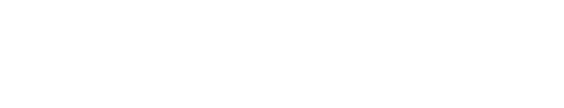 기본이론 강좌에서 이미 토픽을 50개로 압축한 신성우 행정학