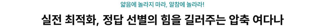 실전 최적화, 정답 선별의 힘을 길러주는 압축 여다나