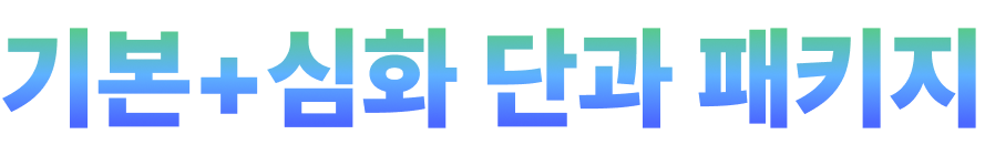 기본+심화 이론반
