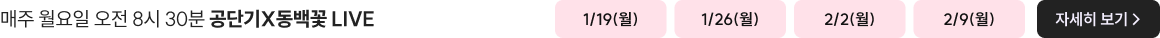 매주 월요일 오전 8시 30분 공단기X동백꽃 LIVE