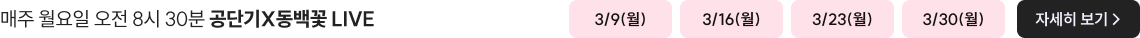 매주 월요일 오전 8시 30분 공단기X동백꽃 LIVE