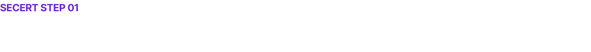 SECERT STEP 01 시크릿 0원 예비평가