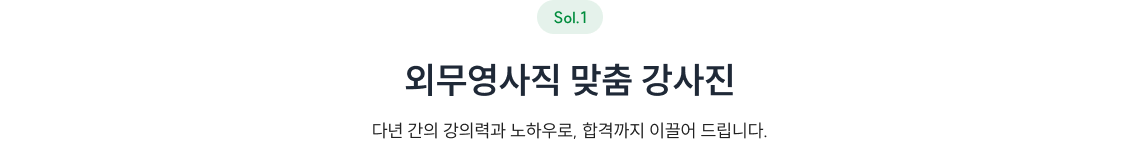외무영사직 맞춤 강사진