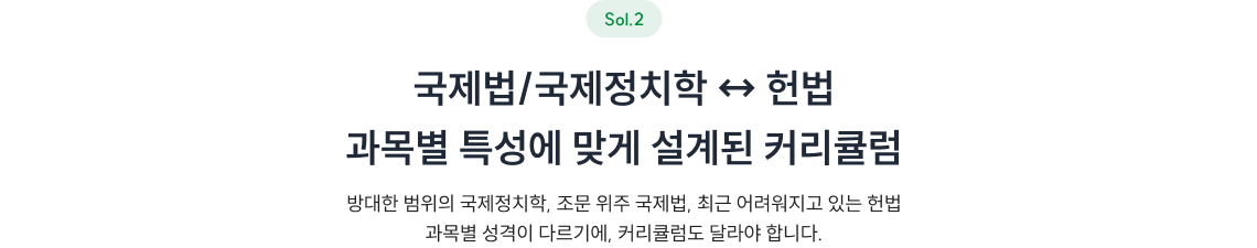 국제법/국제정치학 ↔ 헌법 과목별 특성에 맞게 설계된 커리큘럼