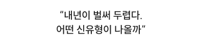 내년이 벌써 두렵다. 어떤 신유형이 나올까