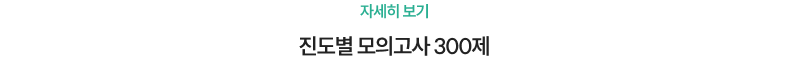 진도별 모의고사 300제