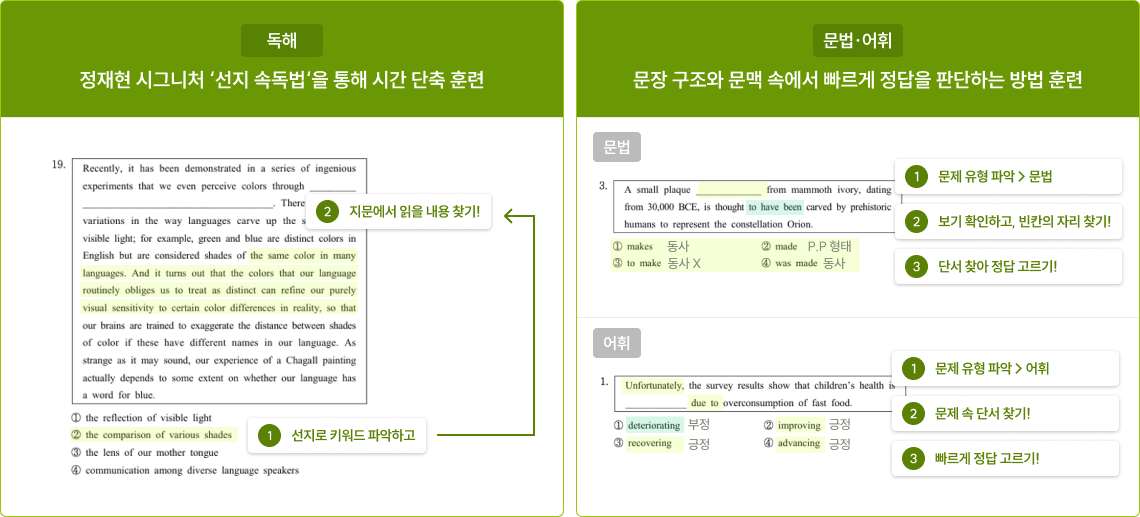 영역별 전략형 해설