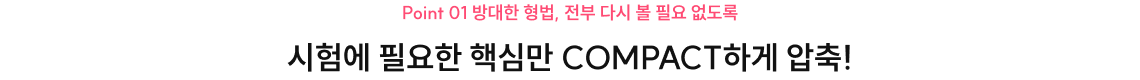 핵심 COMPACT 압축