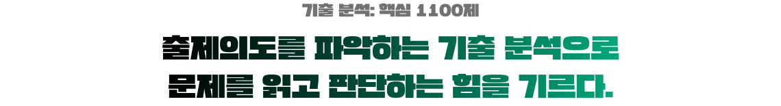 기출 분석 핵심 1100제