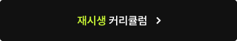 재시생 커리큘럼