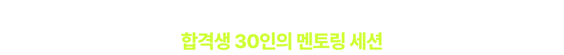 합격생 30인의 멘토링 세션