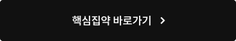 핵심집약 바로가기