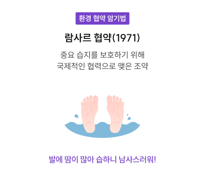 환경 협약 암기법